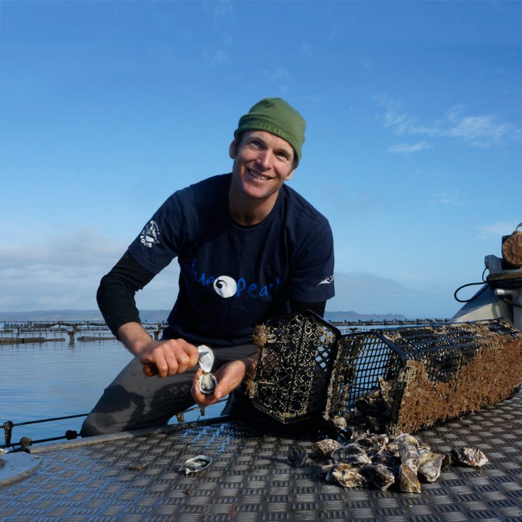 Dan Dollimore opening Kaipara oyster